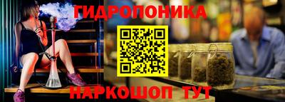 шишки Пенза