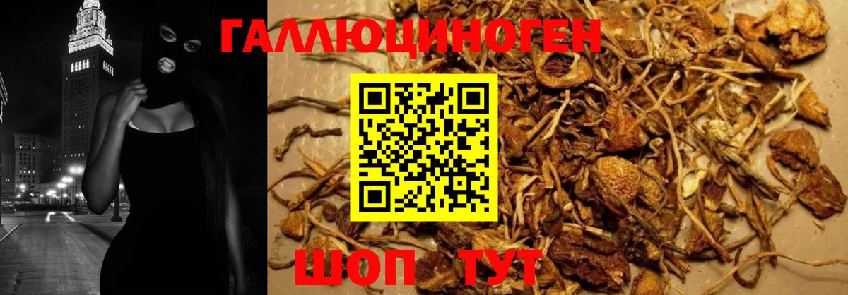 Тавда  купить наркоту  Вход с VPN  Псилоцибиновые грибы Magic Shrooms  Псилоцибиновые грибы ЛСД 