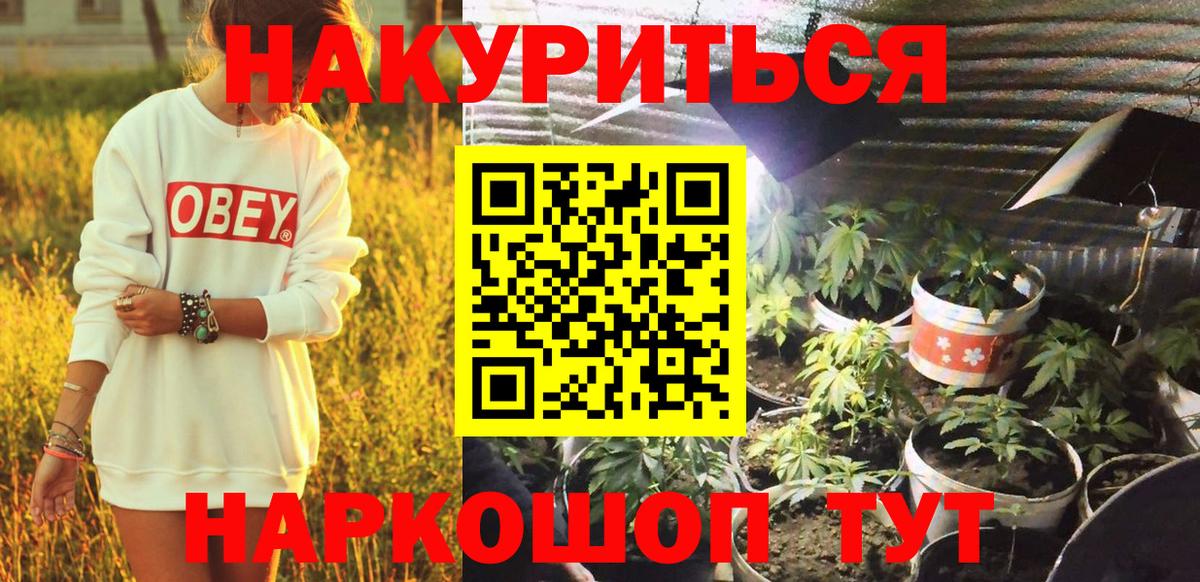 Бошки Шишки Bruce Banner  Каннабис VHQ  Вход с VPN  Тавда  Бошки Шишки индика  МАРИХУАНА OG Kush 